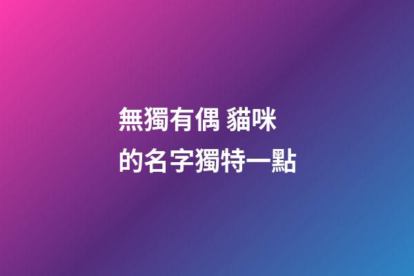 無獨有偶 貓咪的名字獨特一點